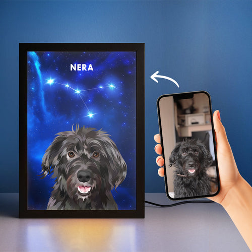 collection-meta-image