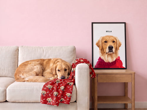 collection-meta-image