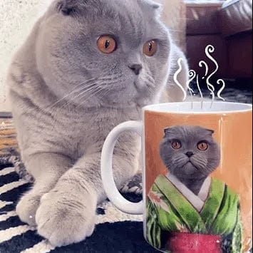 Crown and Paw - Mug The Geisha - Custom Mug 11oz