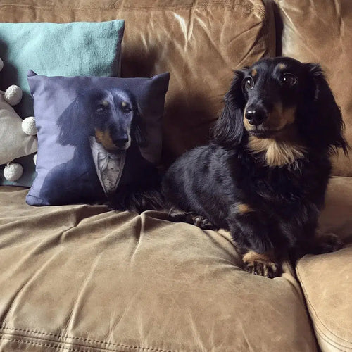 Crown and Paw - Throw Pillow The Aristocrat - Custom Throw Pillow