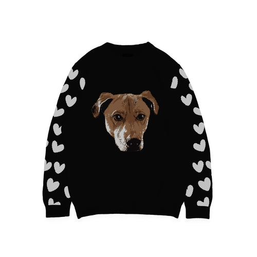 Custom Knitted Pet Face Sweater with Heart Sleeves