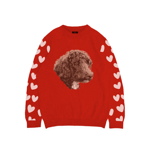 Custom Knitted Pet Face Sweater with Heart Sleeves