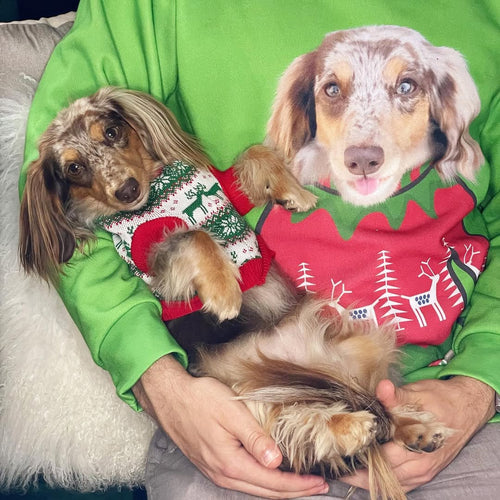 Custom Pet Face Christmas Sweatshirt
