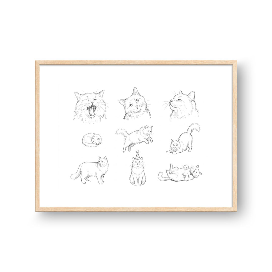 Pet Poses Sketch