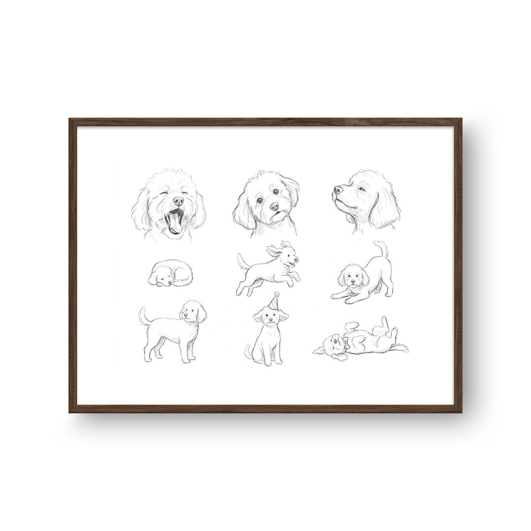 Pet Poses Sketch