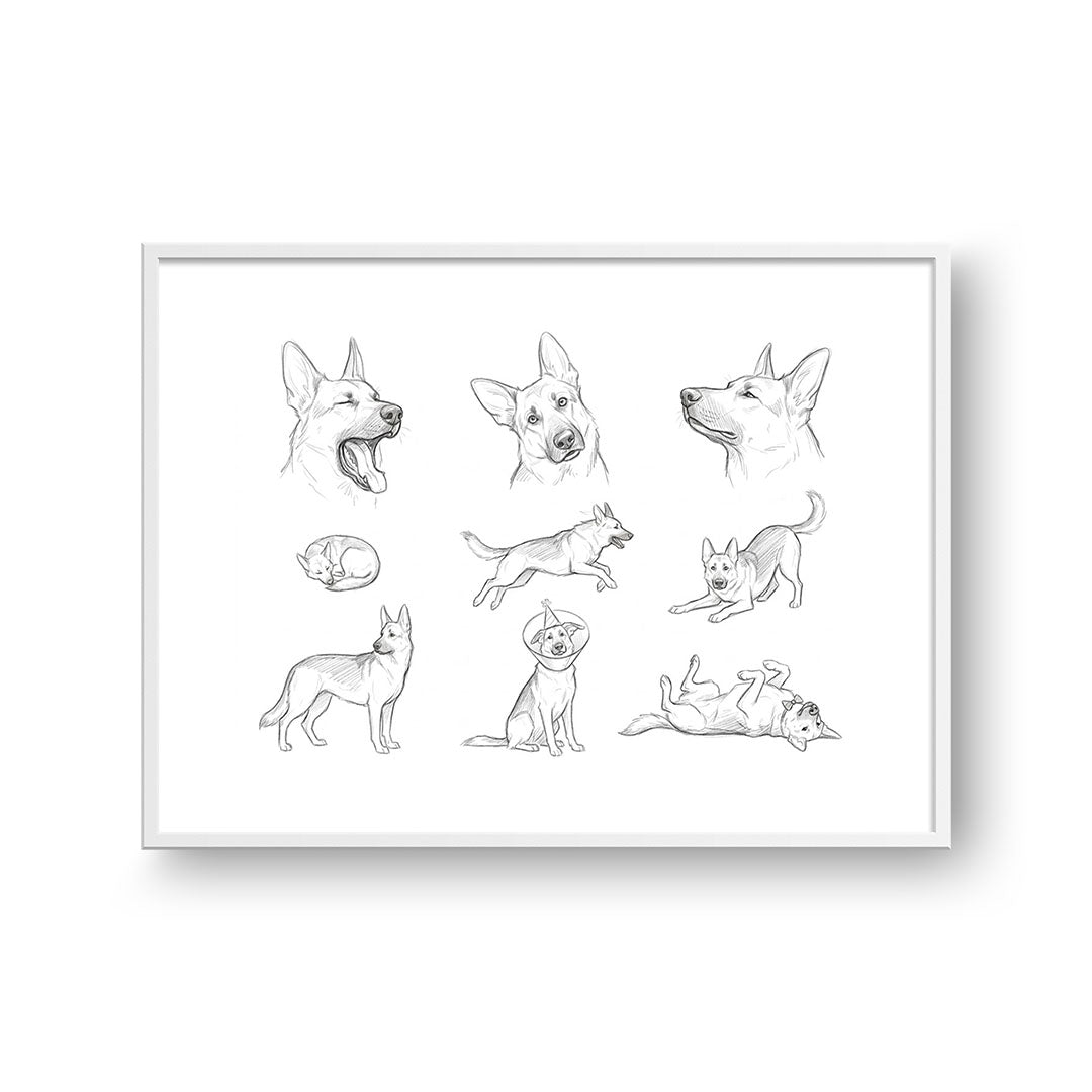 Pet Poses Sketch