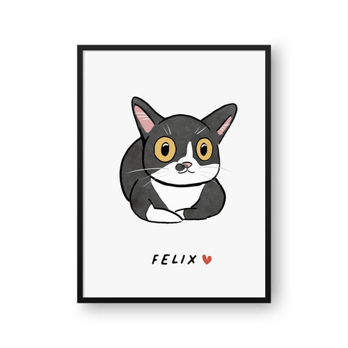 collection-meta-image