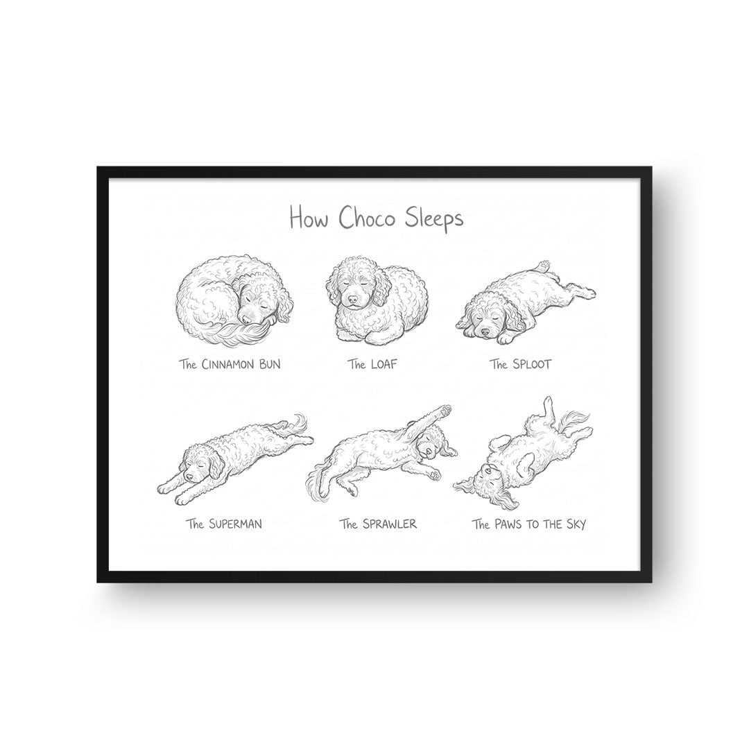 Sleeping Poses Portrait
