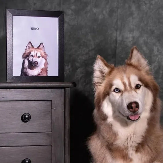 Modern Pet Portrait - One Pet