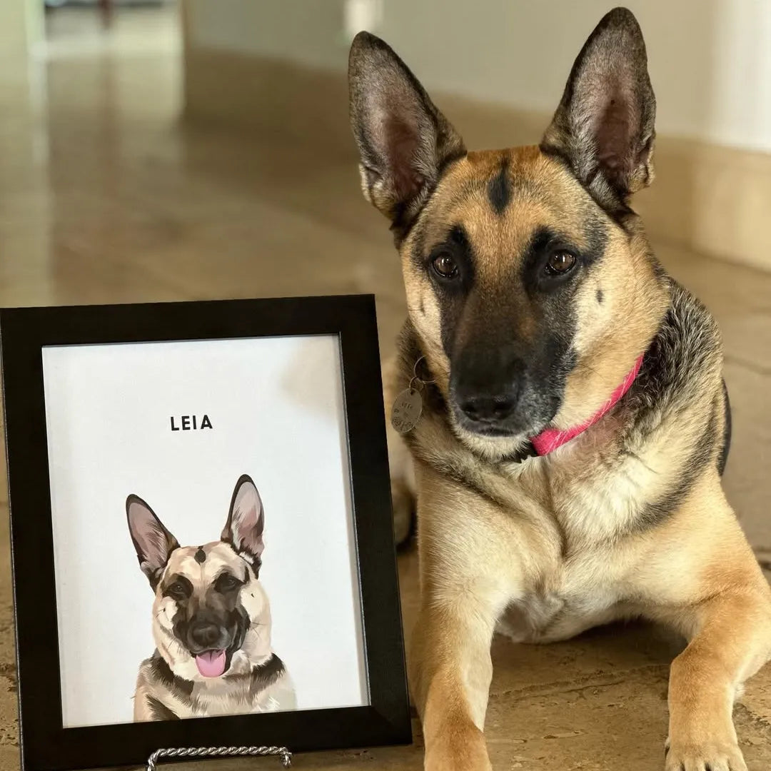 Modern Pet Portrait - One Pet