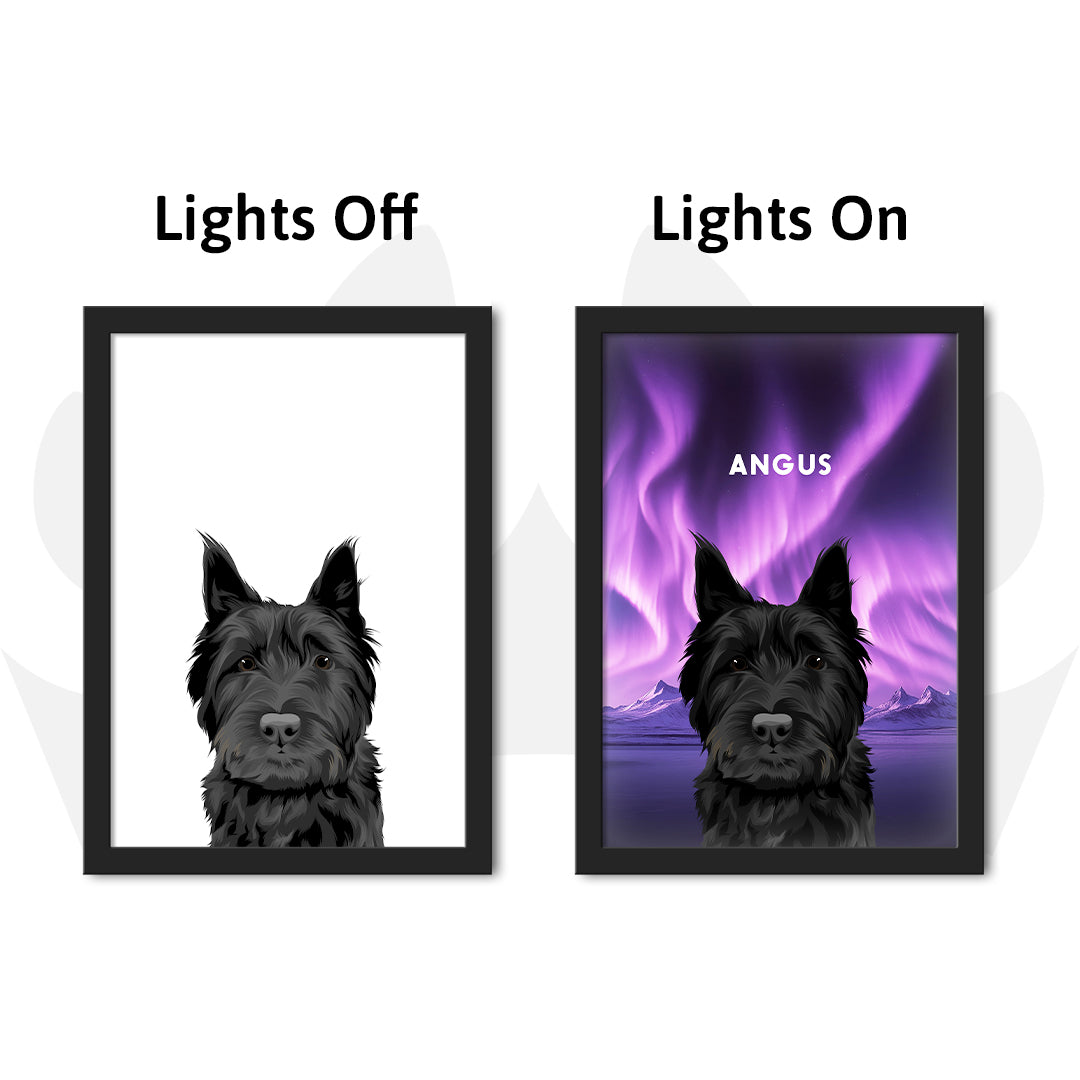 Night Light LED Pet Portrait - One Pet