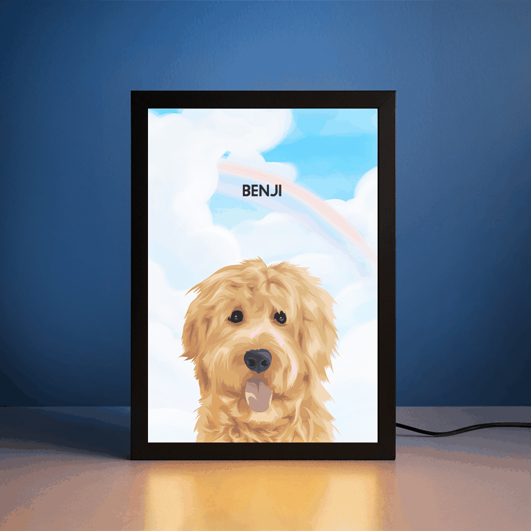 Night Light LED Pet Portrait - One Pet