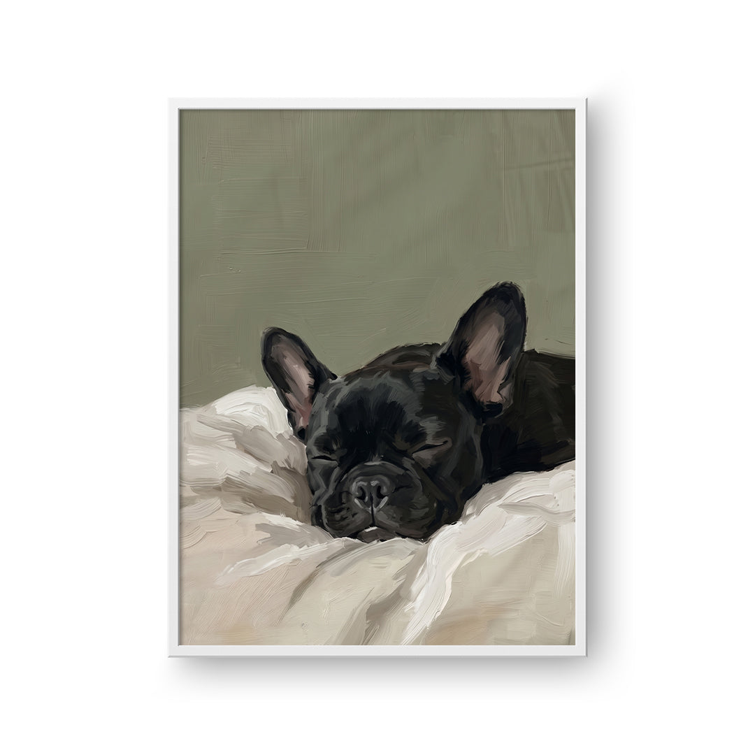 Sleeping Pet Portrait