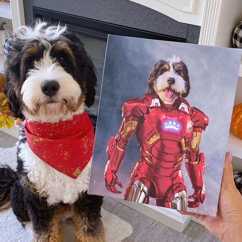 collection-meta-image-2