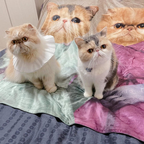 Crown and Paw - Blanket The Sisters - Custom Pet Blanket