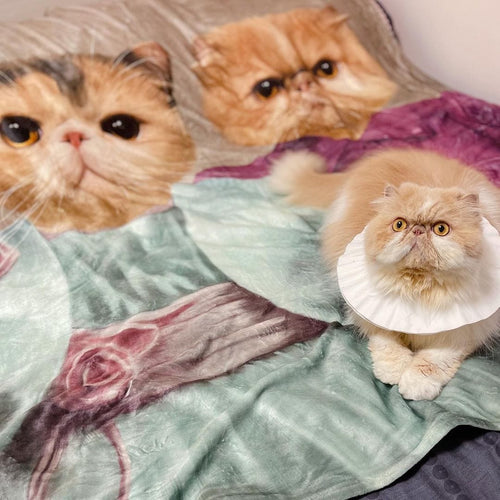 Crown and Paw - Blanket The Sisters - Custom Pet Blanket
