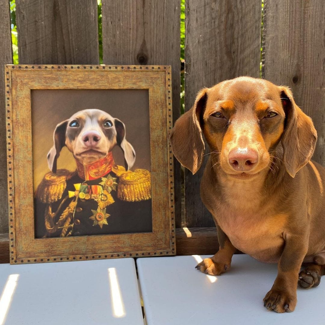Crown and Paw - Poster The Veteran - Custom Pet Poster