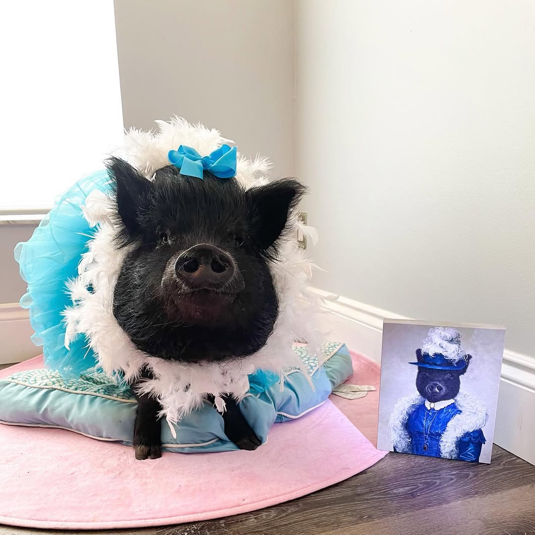 The Boa Lady - Custom Pet Canvas