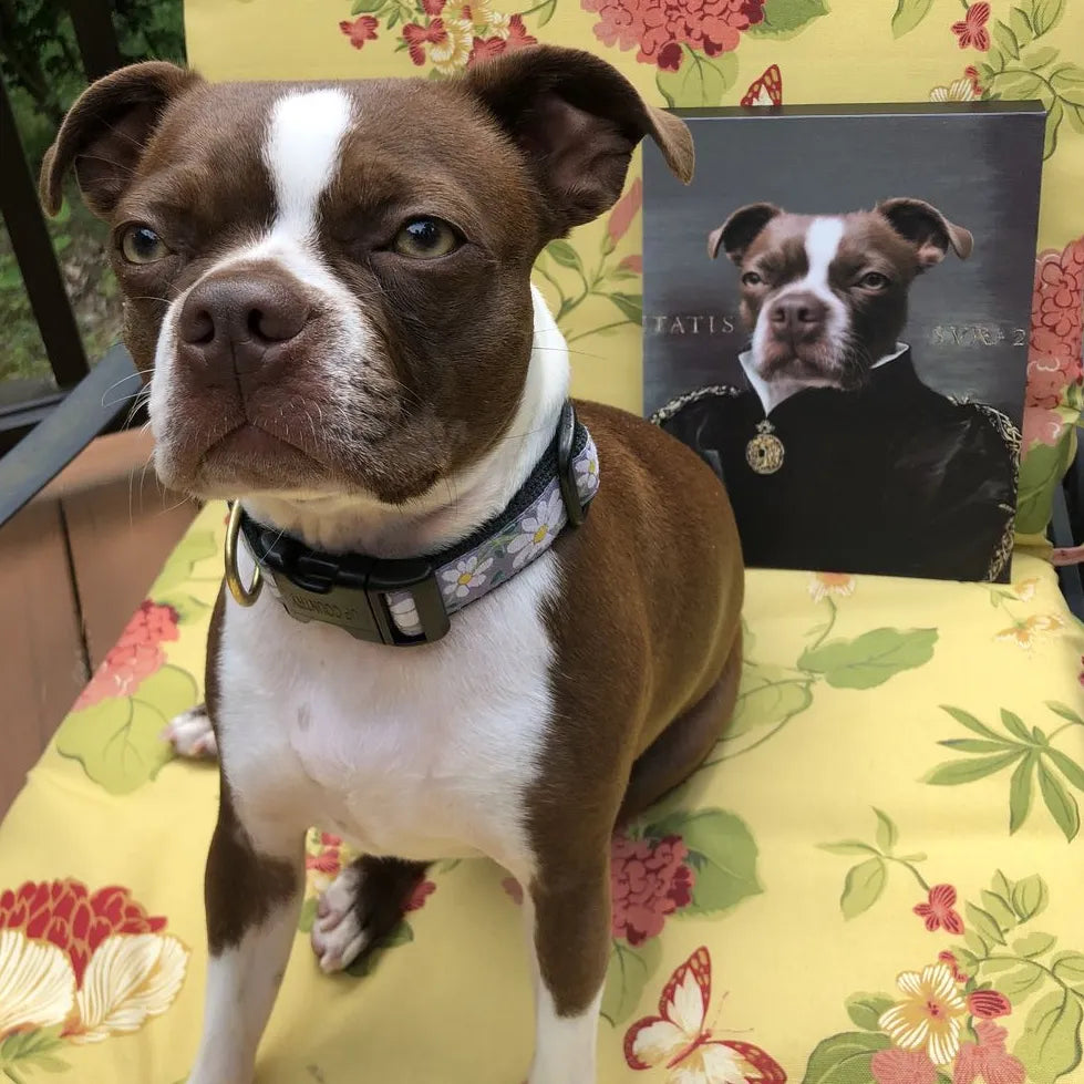 The Duchess - Custom Pet Canvas