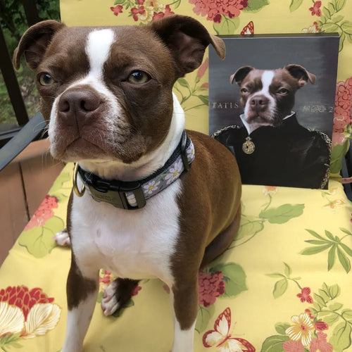 The Duchess - Custom Pet Canvas