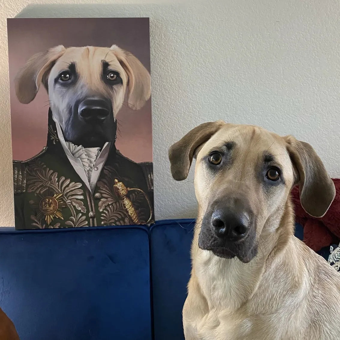 The Green General - Custom Pet Canvas