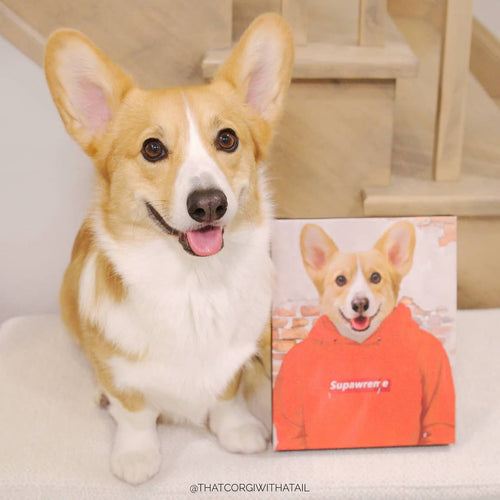 The Hypebeast - Custom Pet Canvas