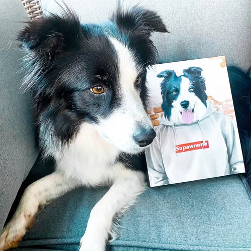 The Hypebeast - Custom Pet Canvas