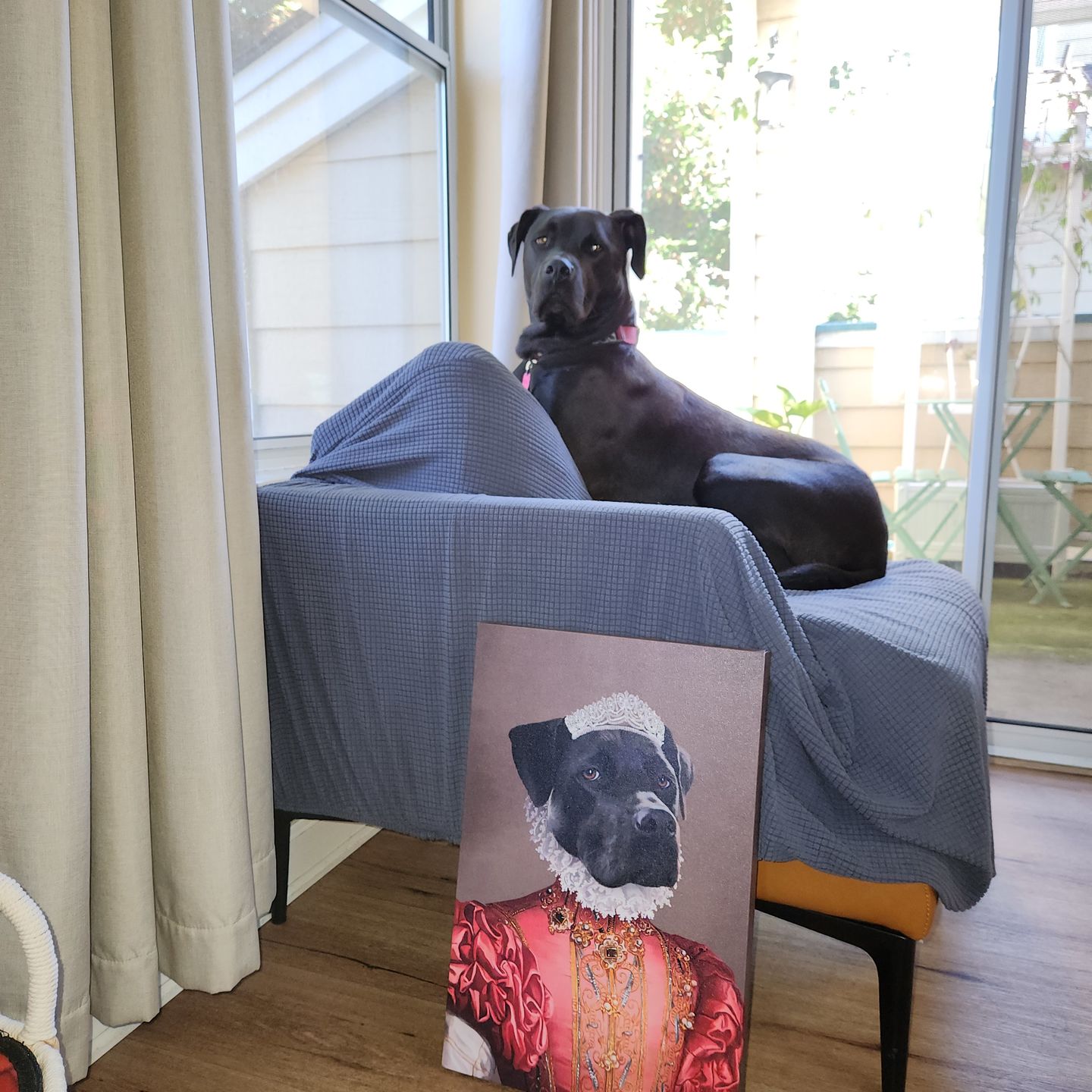 The Red Rose - Custom Pet Canvas