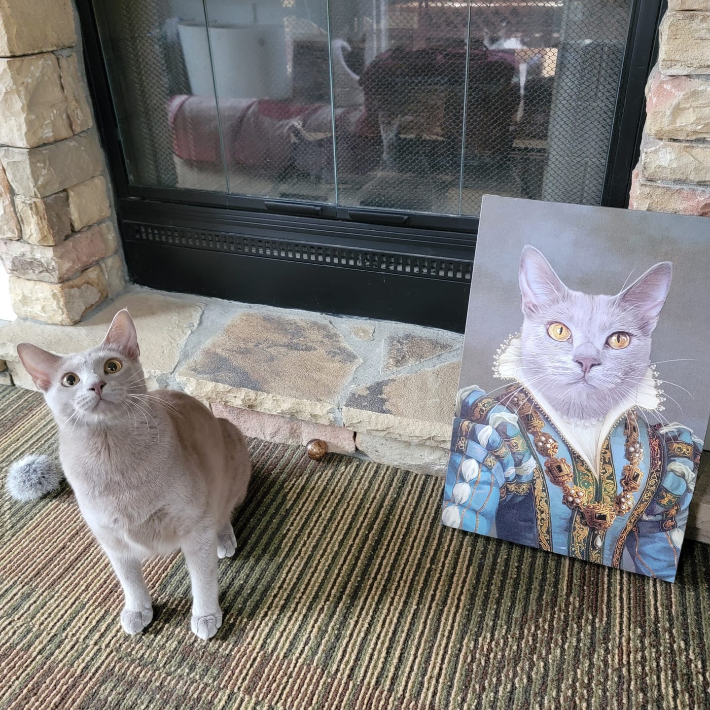 The Sapphire Queen - Custom Pet Canvas