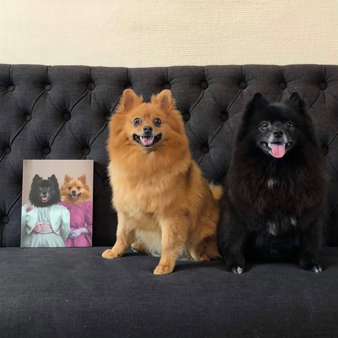 The Sisters - Custom Pet Canvas