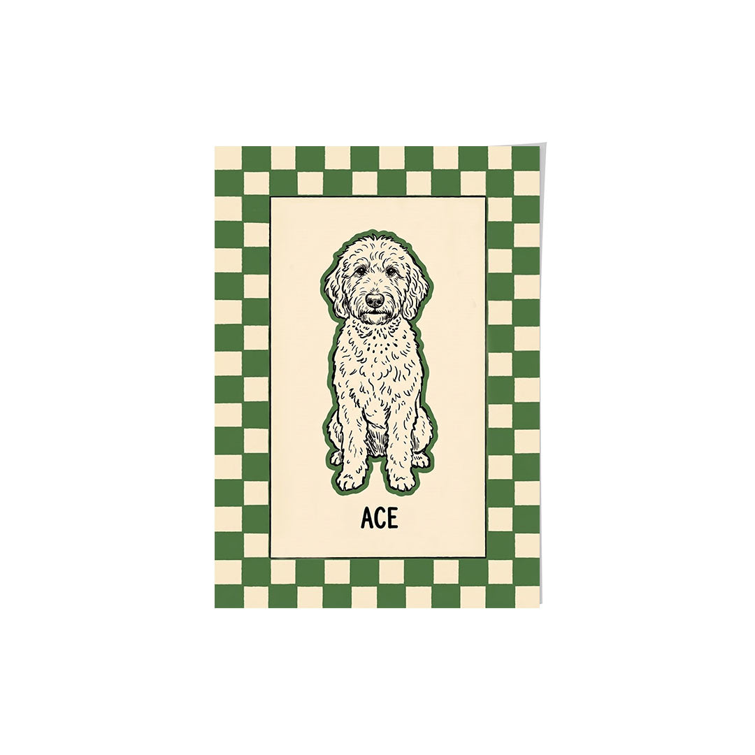 Checkered Pet Portrait