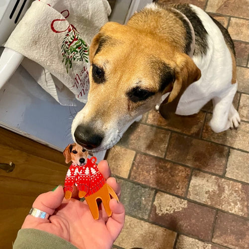 Custom Pet in Sweater Christmas Ornament