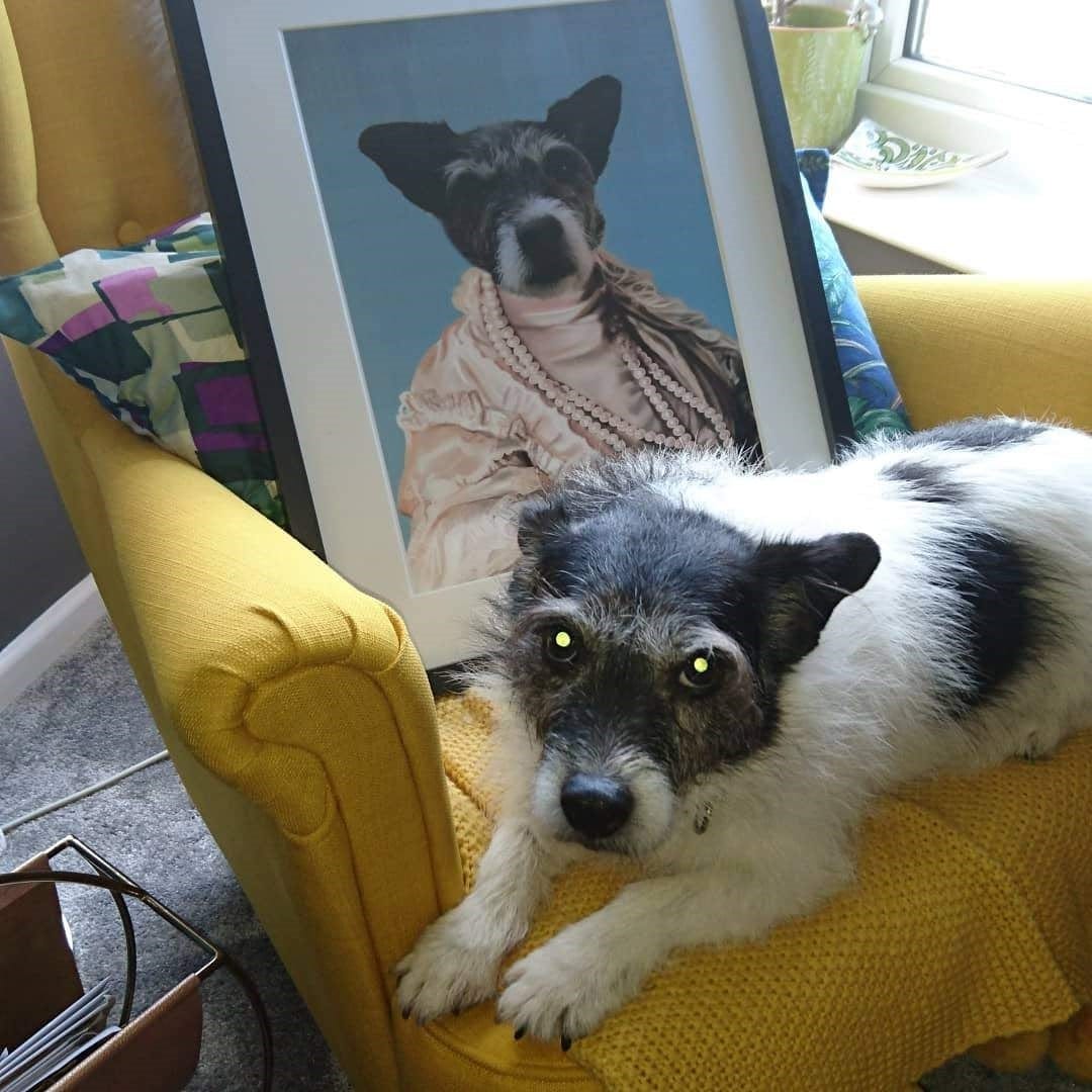Crown and Paw - Poster The Queen Regent - Custom Pet Poster