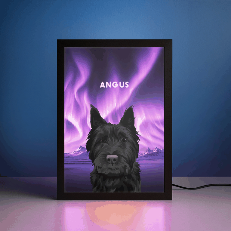 Night Light LED Pet Portrait - One Pet