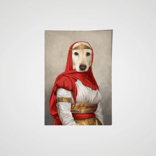 collection-meta-image