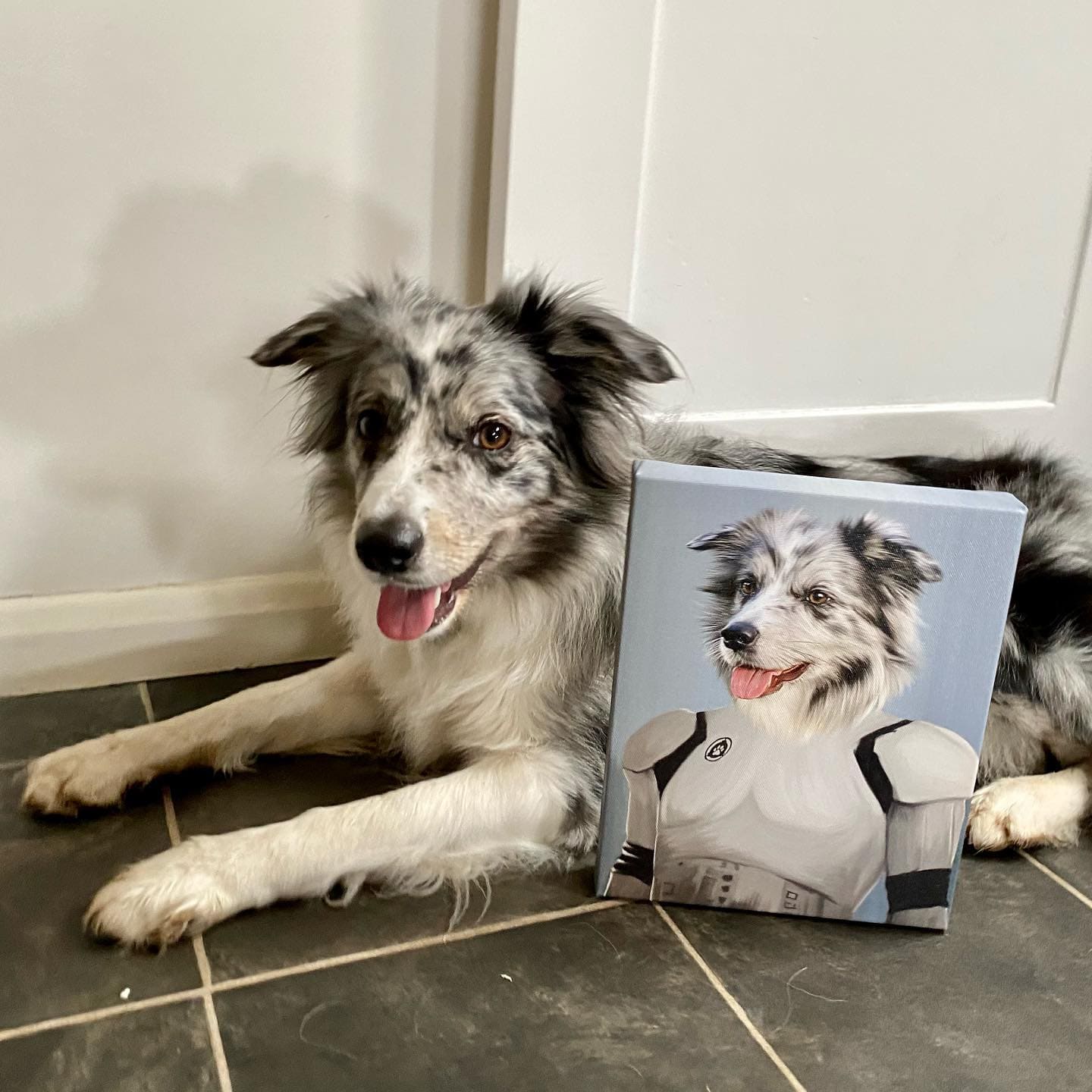 Crown and Paw - Canvas The Trooper - Custom Pet Canvas
