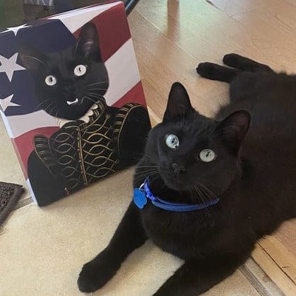 Crown and Paw - Canvas The Noble - USA Flag Edition - Custom Pet Canvas