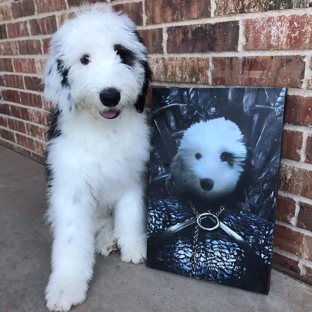 Crown and Paw - Canvas The Lady of the North - Custom Pet Canvas