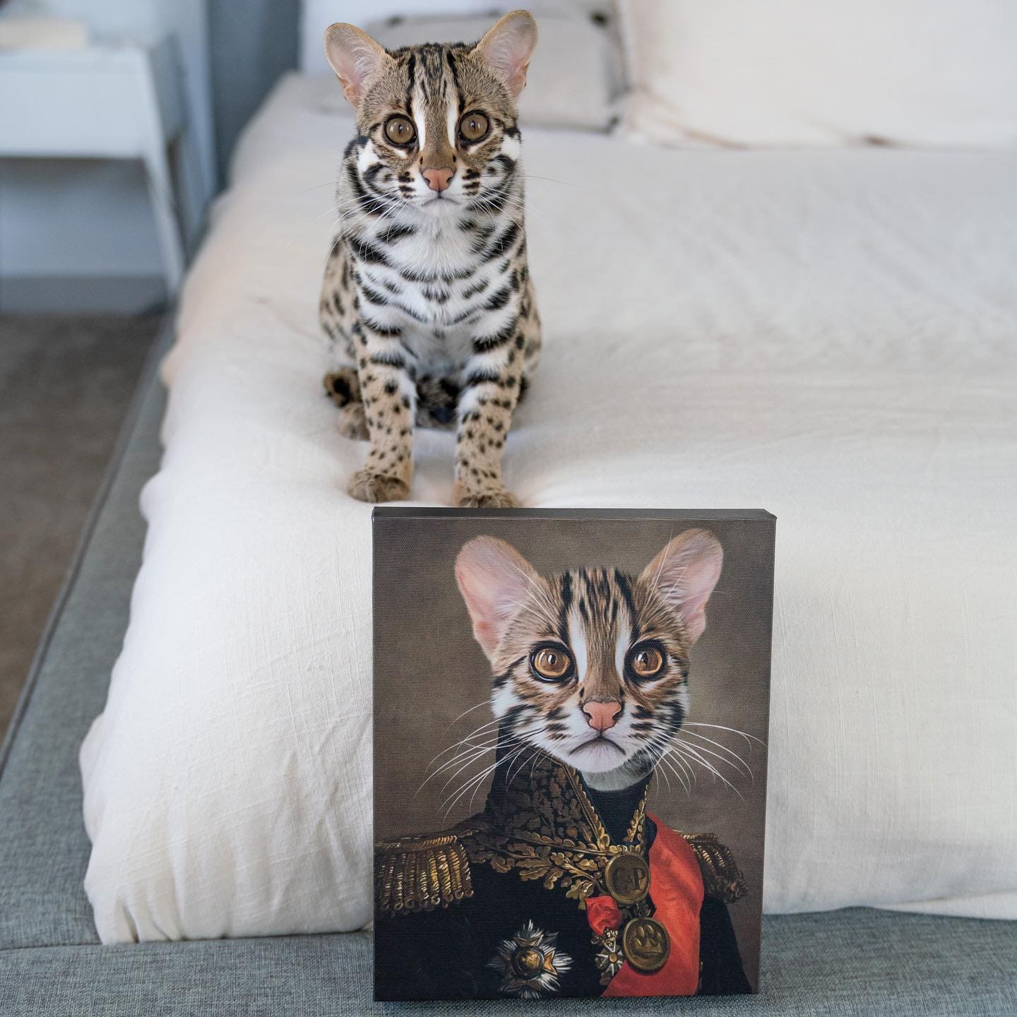 Crown and Paw - Canvas The Major - Custom Pet Canvas
