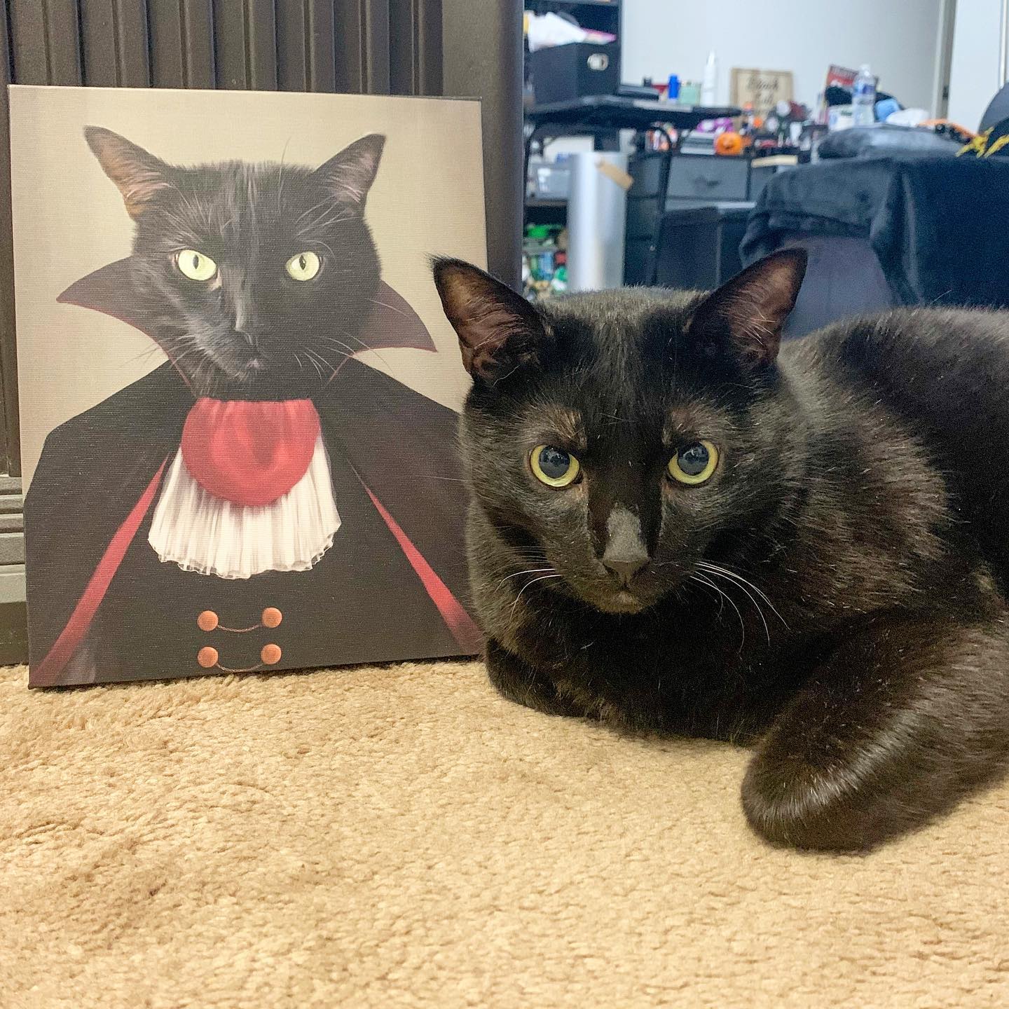 Crown and Paw - Canvas The Vampire - Custom Pet Canvas