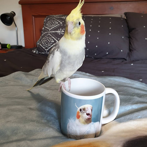 Crown and Paw - Mug The Ballerina - Custom Mug 11oz