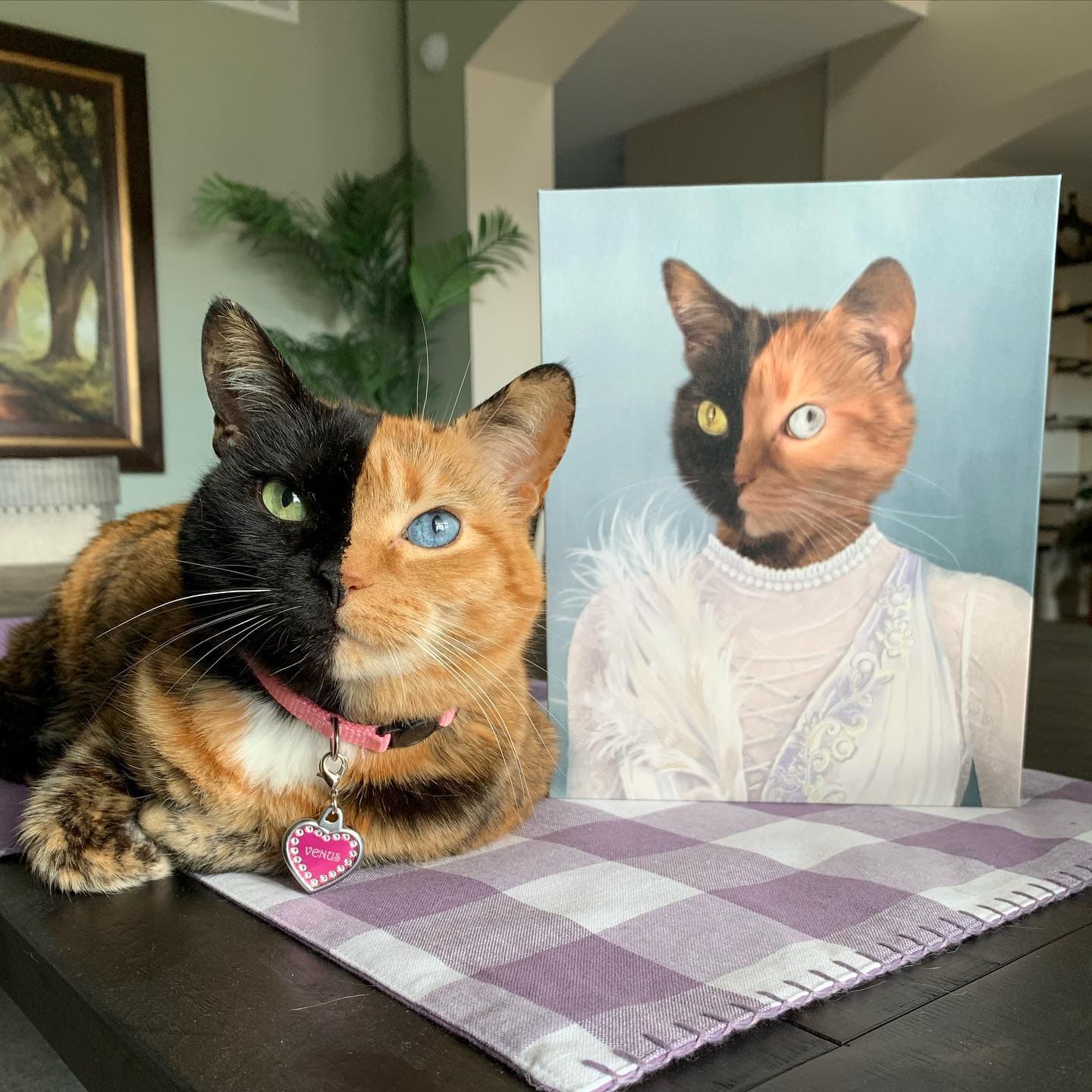 Crown and Paw - Canvas The Ballerina - Custom Pet Canvas