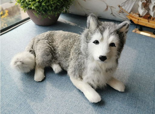 An Empty Stuffed Animal: Get A Look Alike of Your Pet
