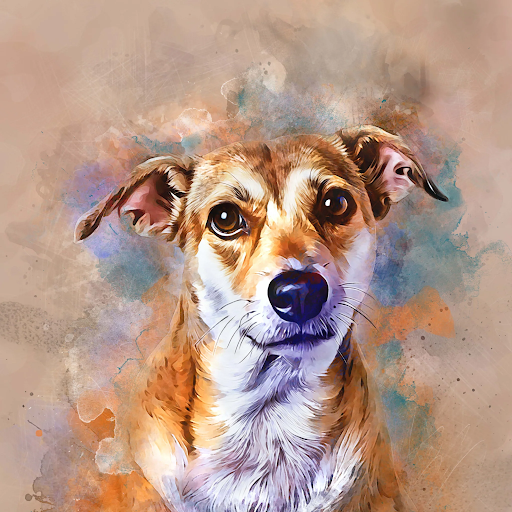 Modern Abstract Paintings: A Unique Touch for Pet Lovers