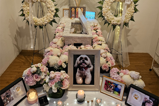 How to Create a Lasting Memorial for Your Pet?