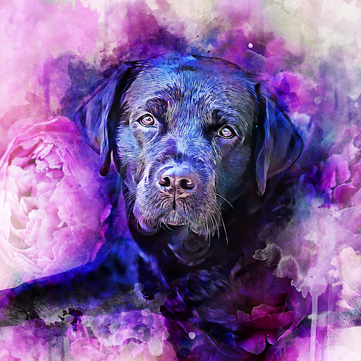 How Watercolor Pet Art Turns Memories into Beautiful Decor