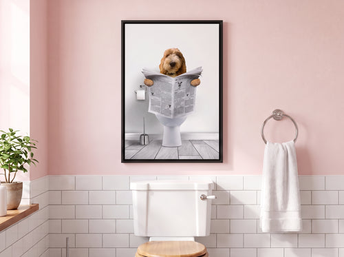 collection-meta-image