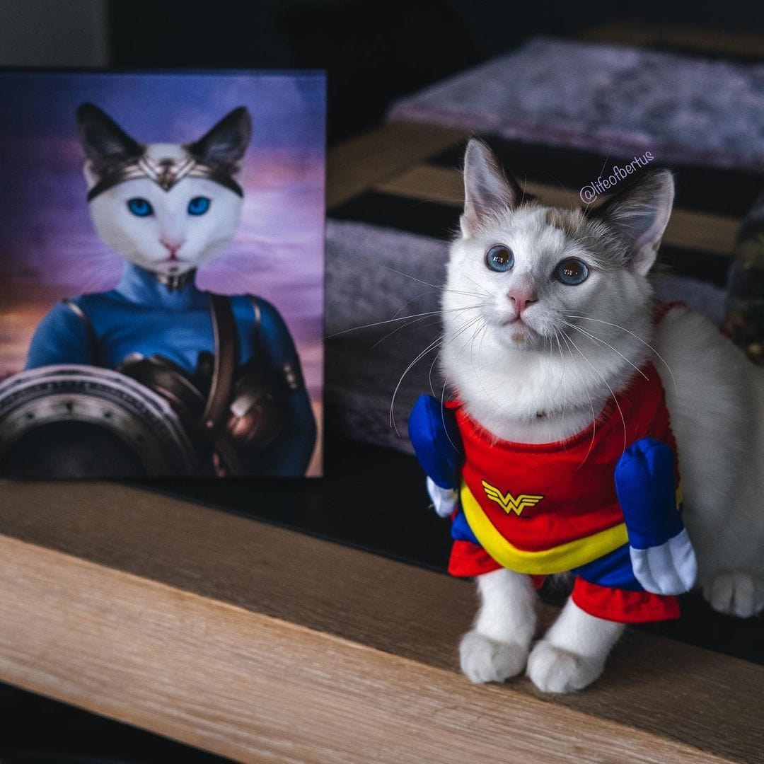 Crown and Paw - Canvas The Super Princess - Custom Pet Canvas