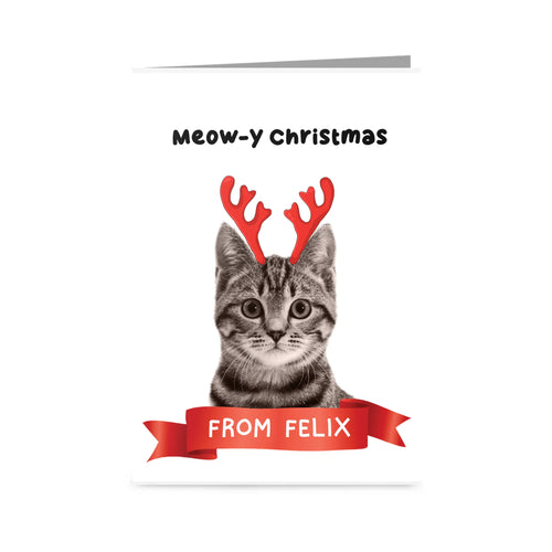 Greetings Card 3.5 X 5 Vertical FRONT Blank Mock Up