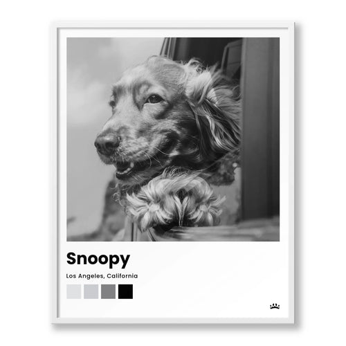 8x10 Framed Poster Black Frame Vertical